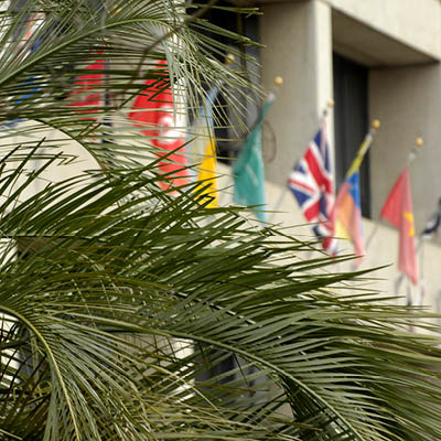 The country flags on display at Moore School.