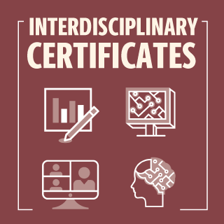 Interdisciplinary Certificates