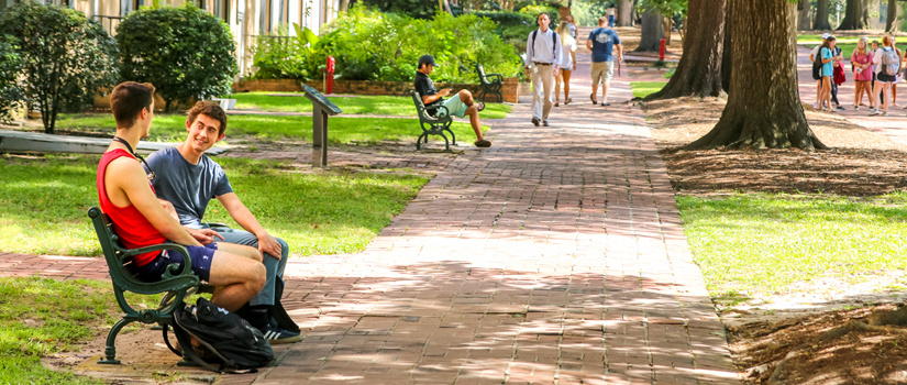 Students on the horseshoe