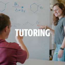 Tutoring Grid Image