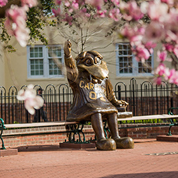 Cocky statue in distance with pink flowers on trees