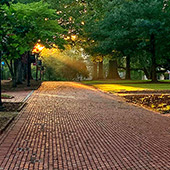 Brick path on the horseshoe with sun streaming down through the trees. 