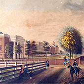 illustration of the historic horseshoe from 1850 with brick buildings and wall infront of a green space lined with palmetto trees. 