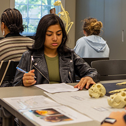 A student sits in class and looks intently at a stack of papers in front of her.