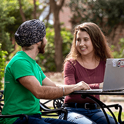 students studying outside