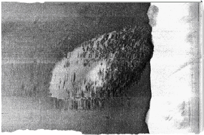 ballastsonogram