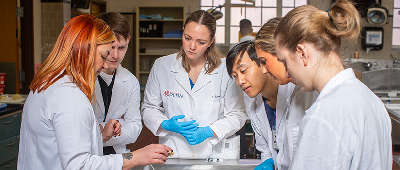 Students and doctor examining a skeleton