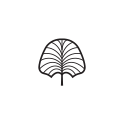 palm icon