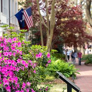 president's house on the horseshoe with blossoming azaleas