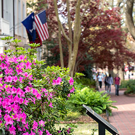 A South Carolina flag and an American flag hang behind a brightly blooming flower bush outside the president's residence