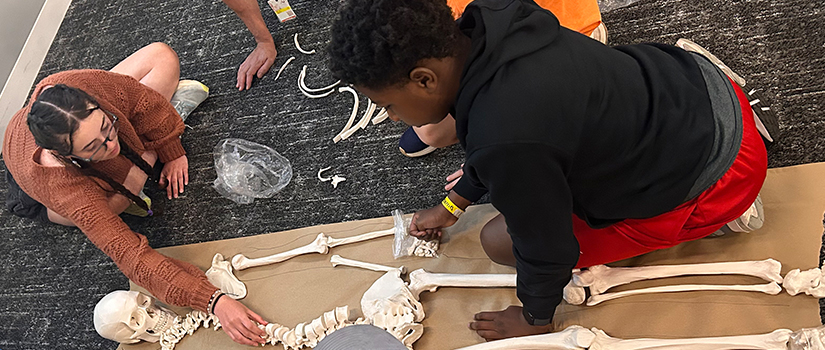 students building a skeleton