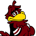 Cocky, the University of South Carolina’s Gamecock mascot, with a yellow beak and garnet feathers.