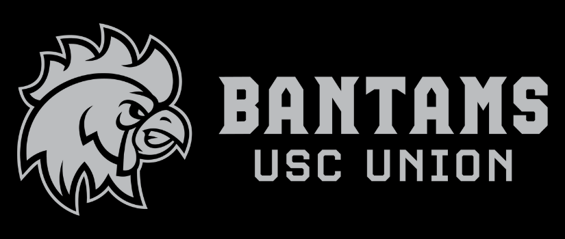 logo banner