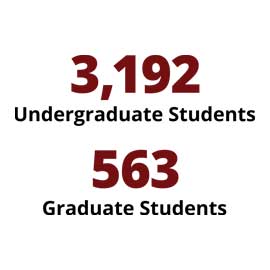 Uofsc Graphics College of Engineering and Computing at a Glance | University of South ...