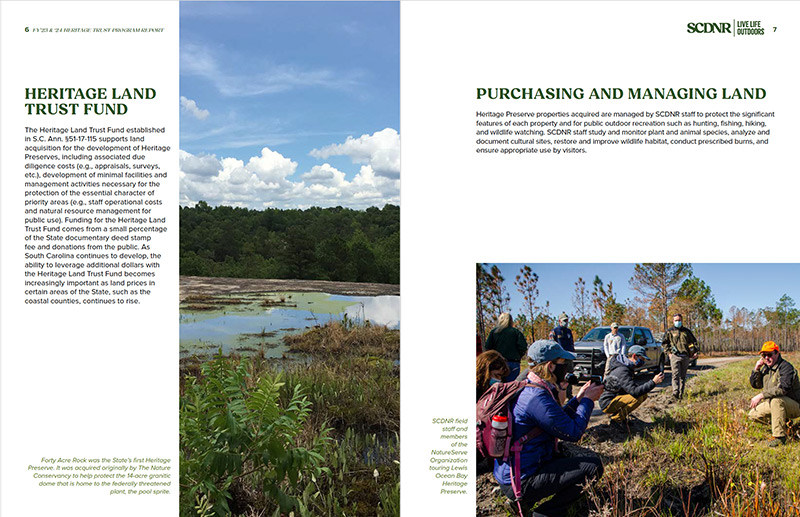 'SCDNR staff and partners explore a Heritage Preserve, one of many conservation efforts featured in Kieran Ash’s design work for the South Carolina Department of Natural Resources