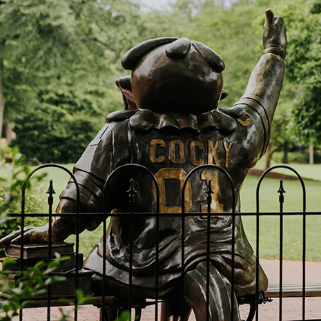 Cocky Statute