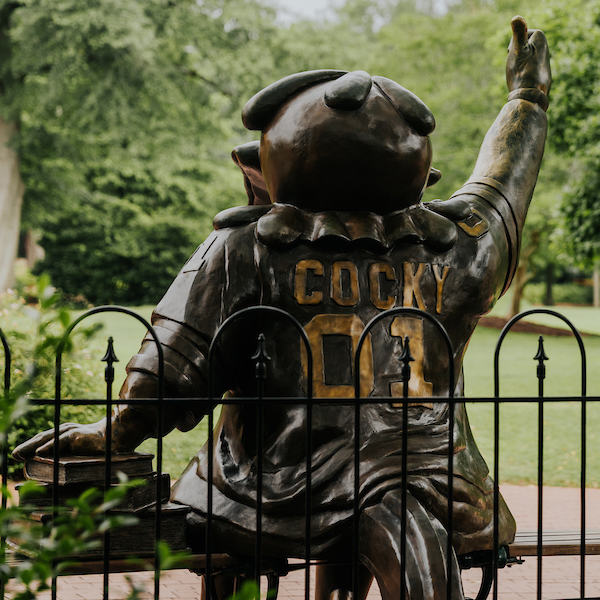 bronze statue of cocky sitting on a bench photographed from behind