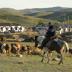 A horseback-riding farmer herds sheep across a sparse and hilly, rural landscape.