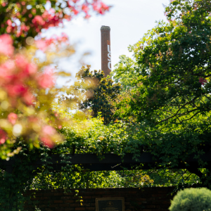 smokestack with white 