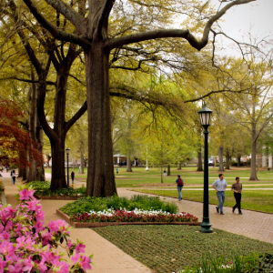 The USC Horseshoe during fall.
